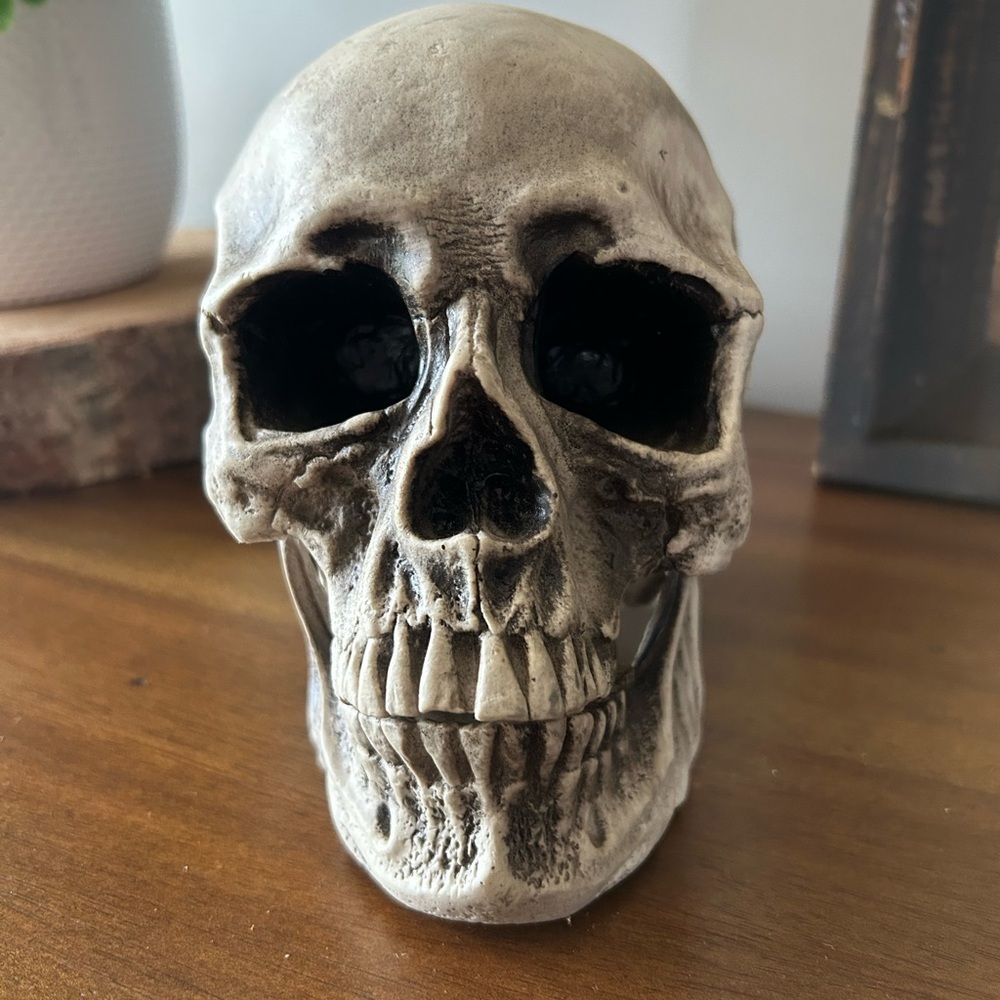 Skull 💀🎃
HALLOWEEN DECOR